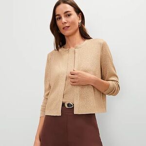 Ann Taylor 2 Piece Twin Set Metallic Cropped Cardigan Sweater Camisole Medium
